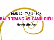 Bài 3 trang 45 Toán 12 tập 1 Cánh Diều